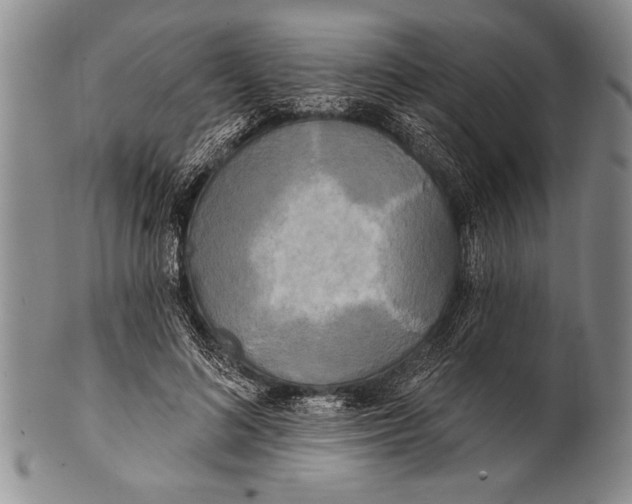 X0000100330692200806261302