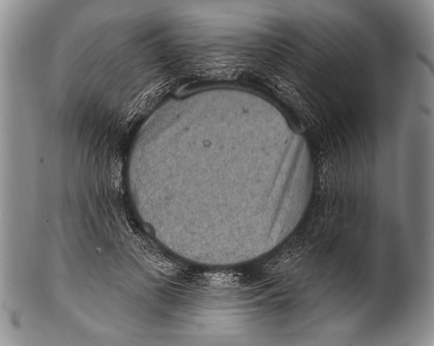 X0000100330693200806261302