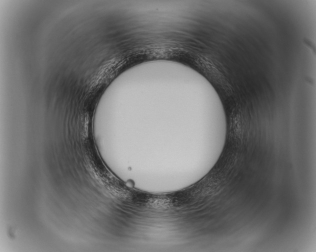 X0000100330694200806261302