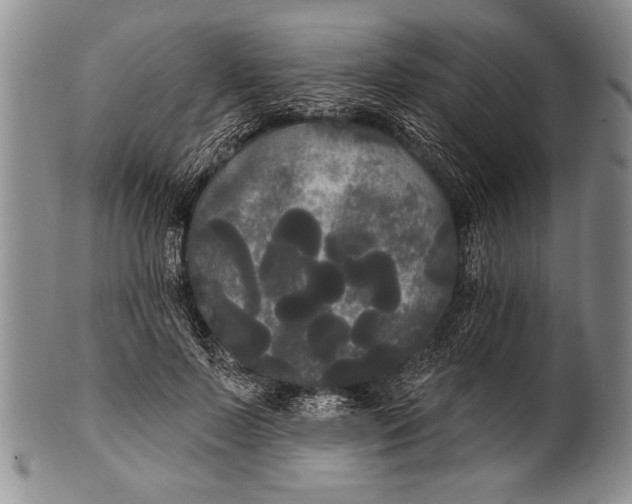 X0000100330695200806261302