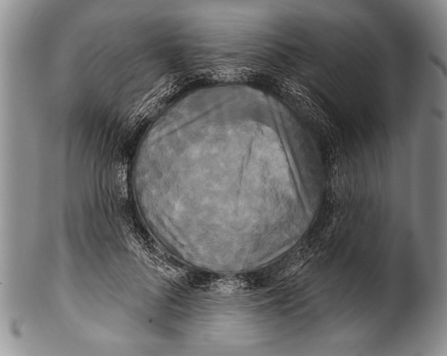 X0000100330696200806261302