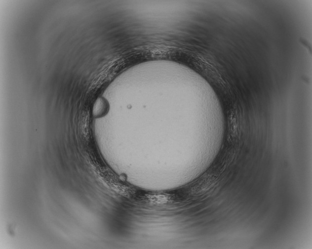 X0000100330698200806261302