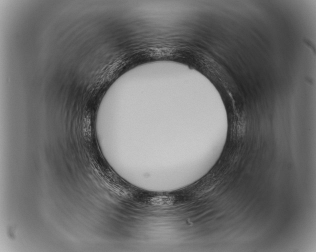 X0000100330700200806261302