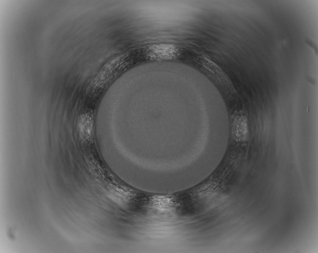 X0000100330701200806261302