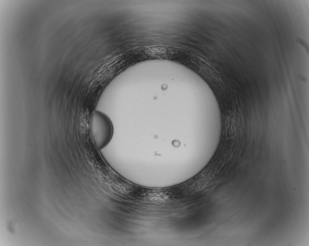 X0000100330702200806261302