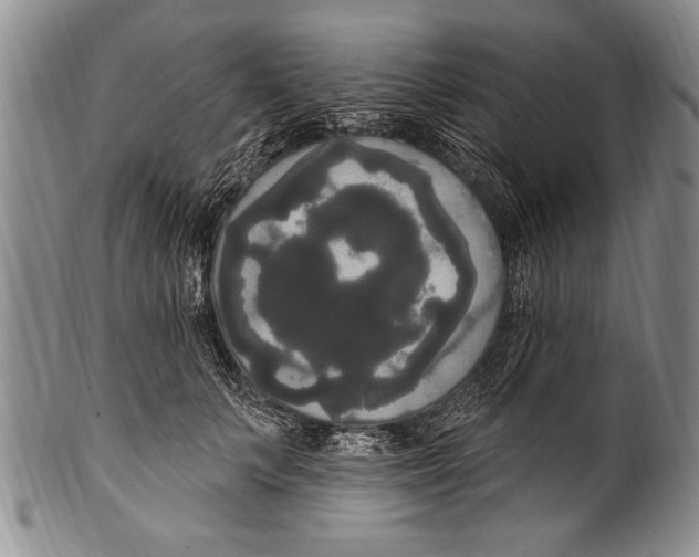 X0000100330703200806261302