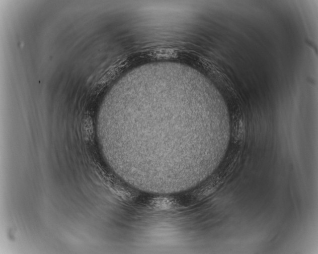 X0000100330704200806261302