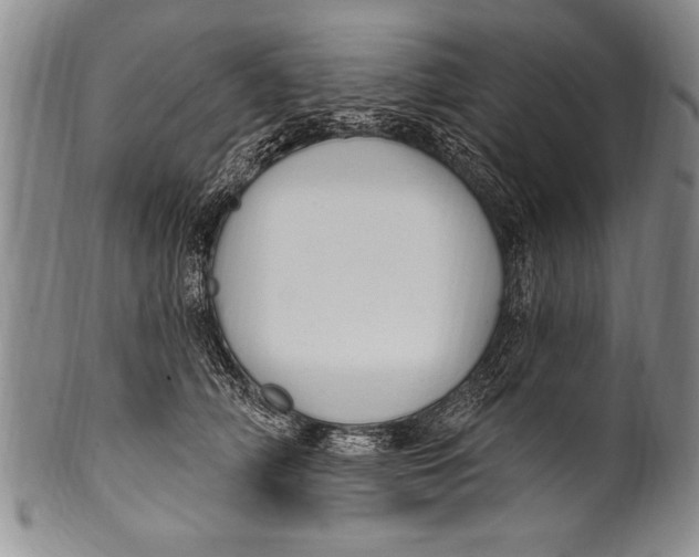 X0000100330706200806261302