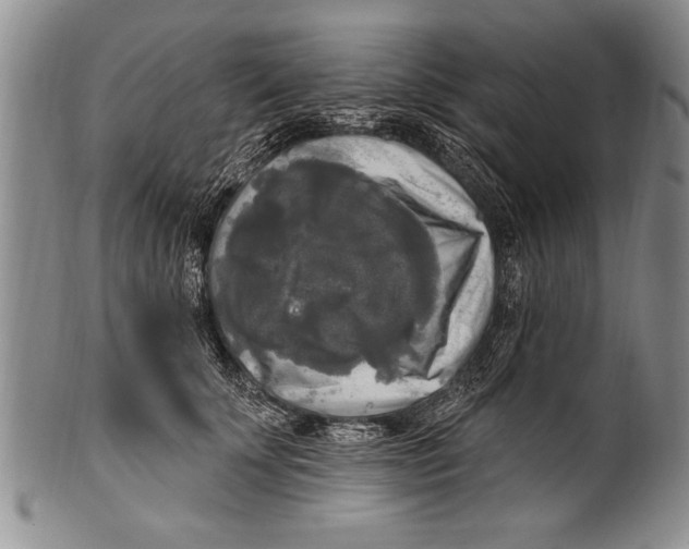 X0000100330707200806261302