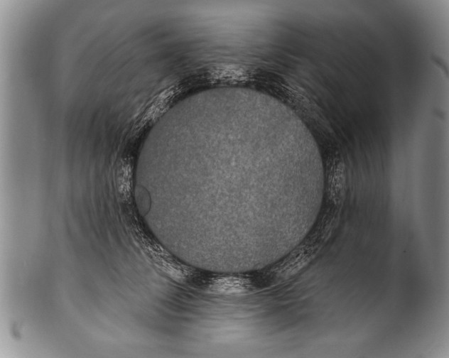 X0000100330708200806261302