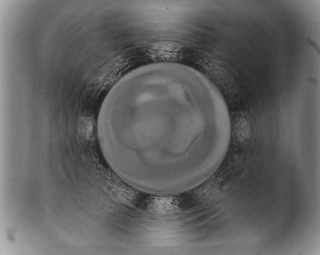 X0000100330709200806261302