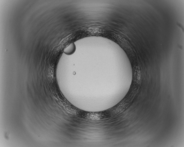 X0000100330710200806261302