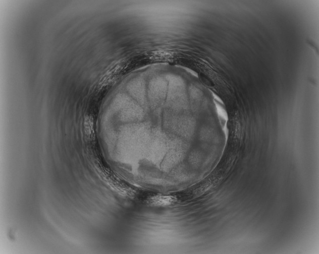 X0000100330711200806261302