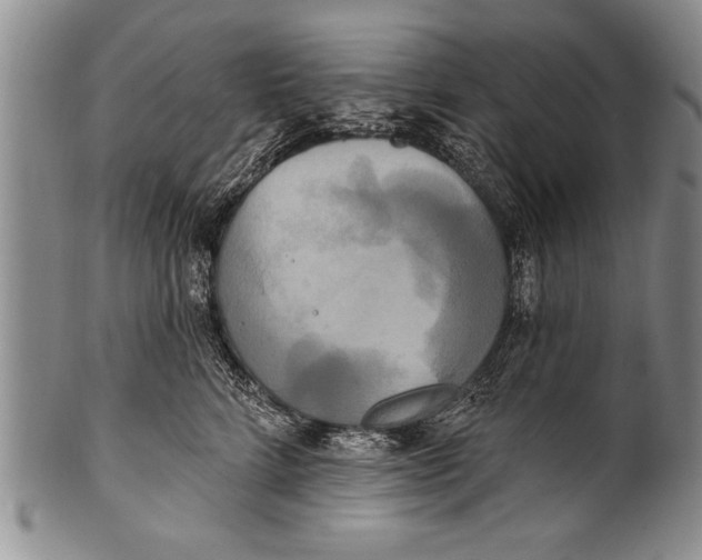 X0000100330712200806261302