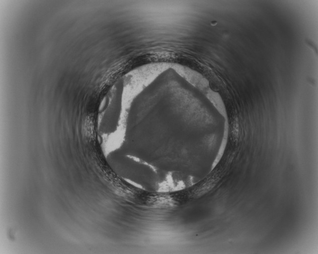 X0000100330715200806261302