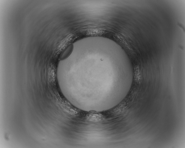 X0000100330716200806261302