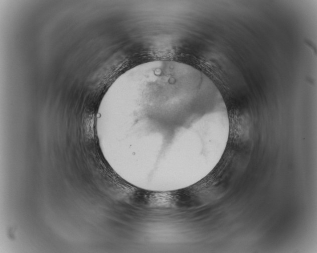 X0000100330717200806261302