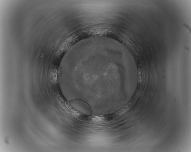 X0000100330718200806261302