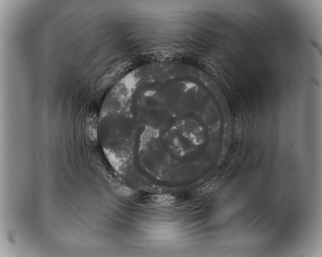 X0000100330719200806261302