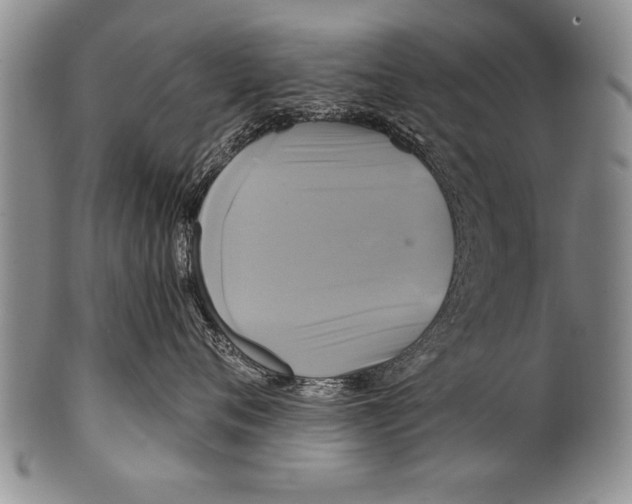 X0000100330720200806261302