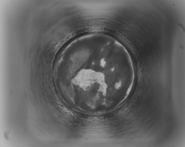 X0000100330721200806261301