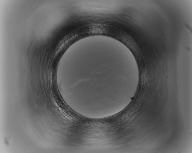 X0000100330722200806261301