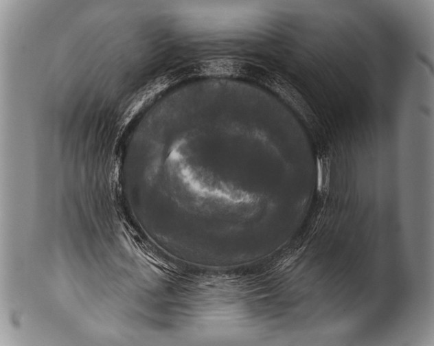 X0000100330723200806261301