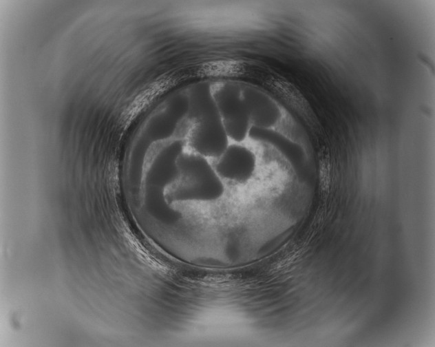 X0000100330725200806261301