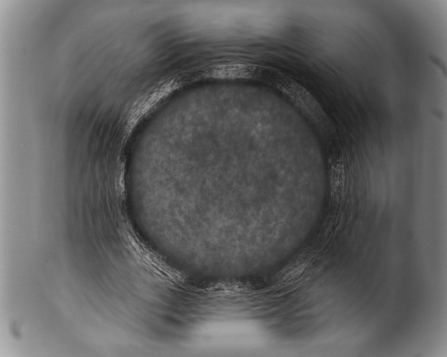 X0000100330727200806261301