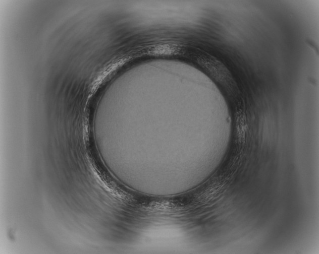 X0000100330728200806261301