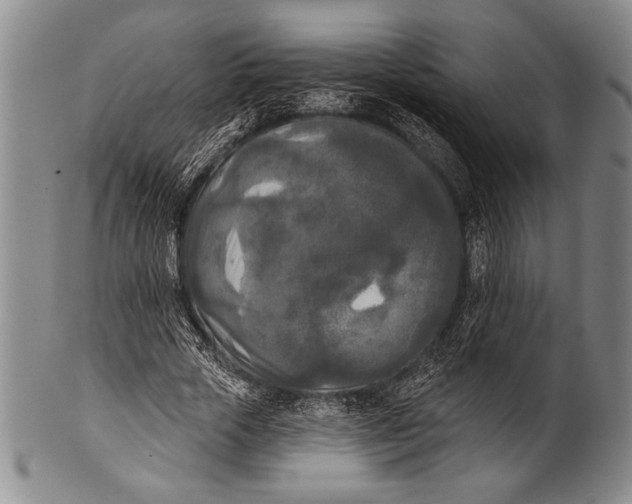 X0000100330729200806261301