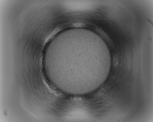 X0000100330730200806261301