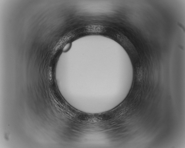 X0000100330731200806261301