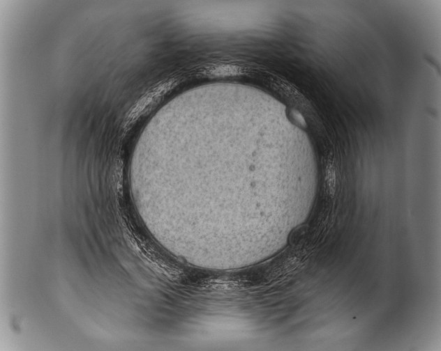 X0000100330732200806261301