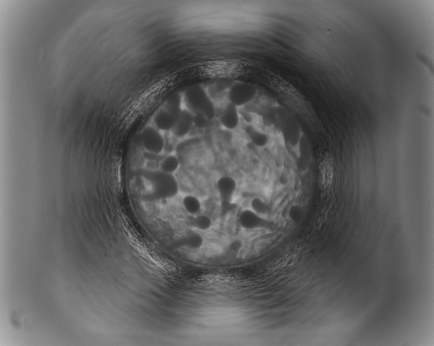 X0000100330733200806261301