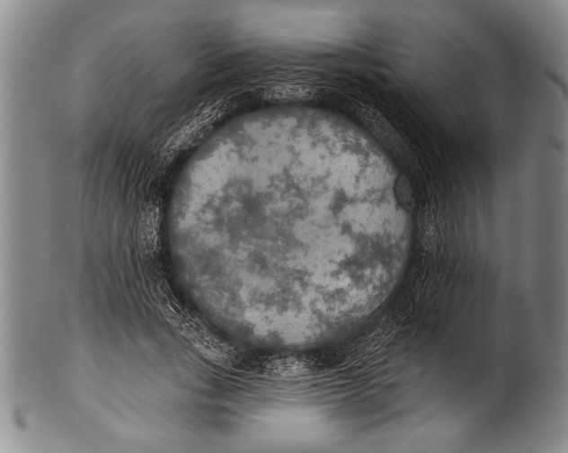 X0000100330735200806261301