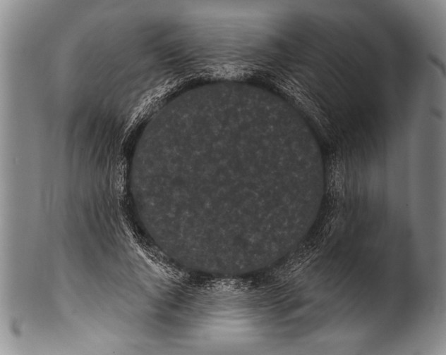 X0000100330736200806261301