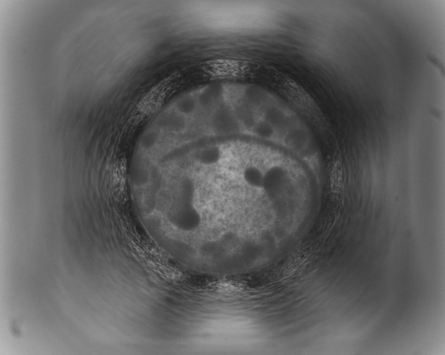 X0000100330737200806261301