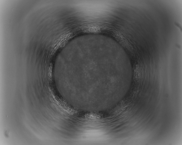 X0000100330739200806261301