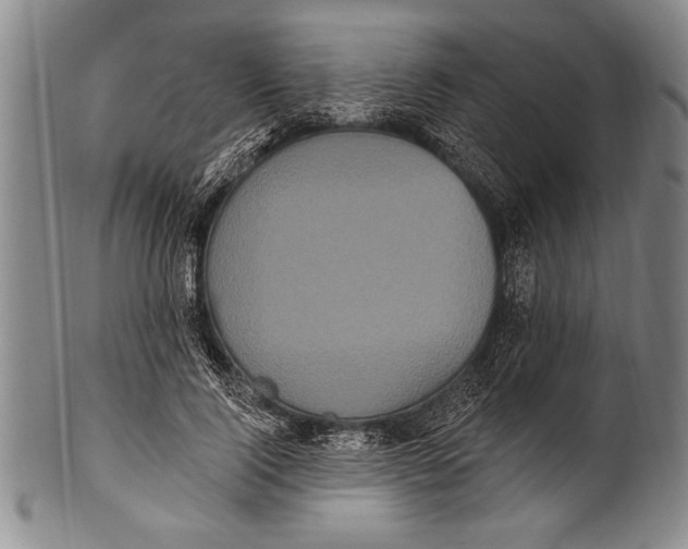 X0000100330740200806261301