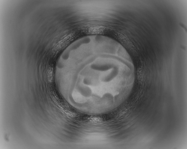 X0000100330741200806261301