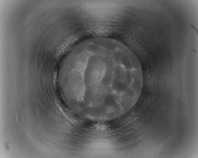 X0000100330742200806261301