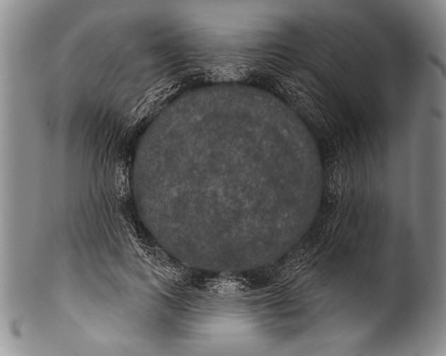 X0000100330743200806261301