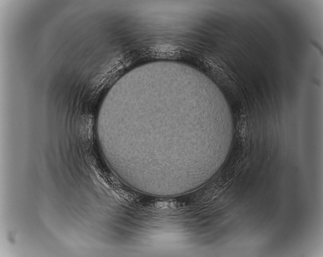 X0000100330744200806261301