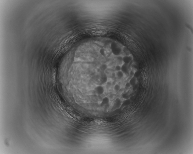 X0000100330745200806261301