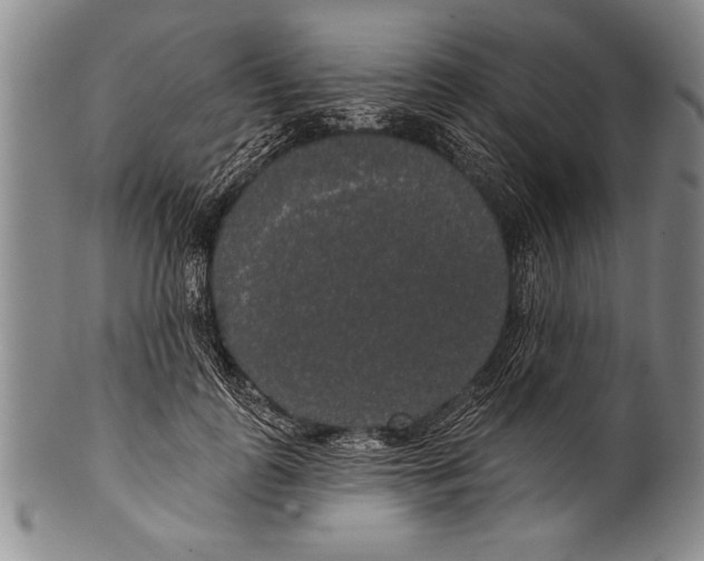 X0000100330747200806261301