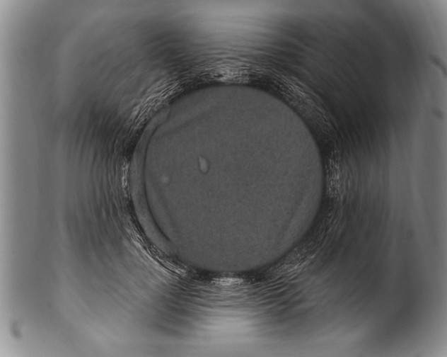 X0000100330748200806261302