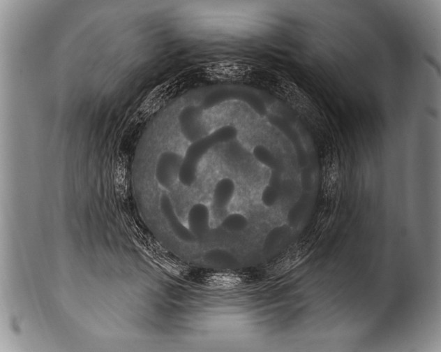 X0000100330749200806261302