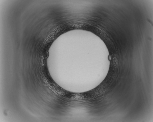 X0000100330750200806261302