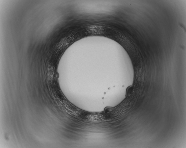 X0000100330752200806261302